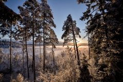 Aukstasis-telmonologinis-tyras-3